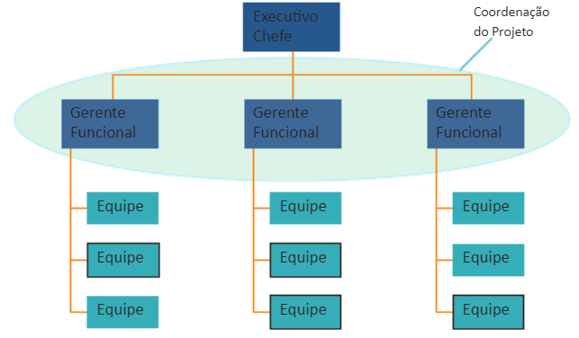 Modelo De Estrutura Organizacional Em Projetos Características E Individualidades